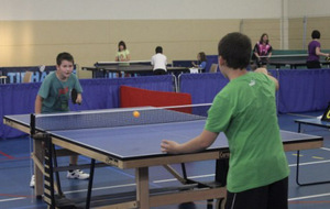 6a32eedc5cd69_7ping12.jpg